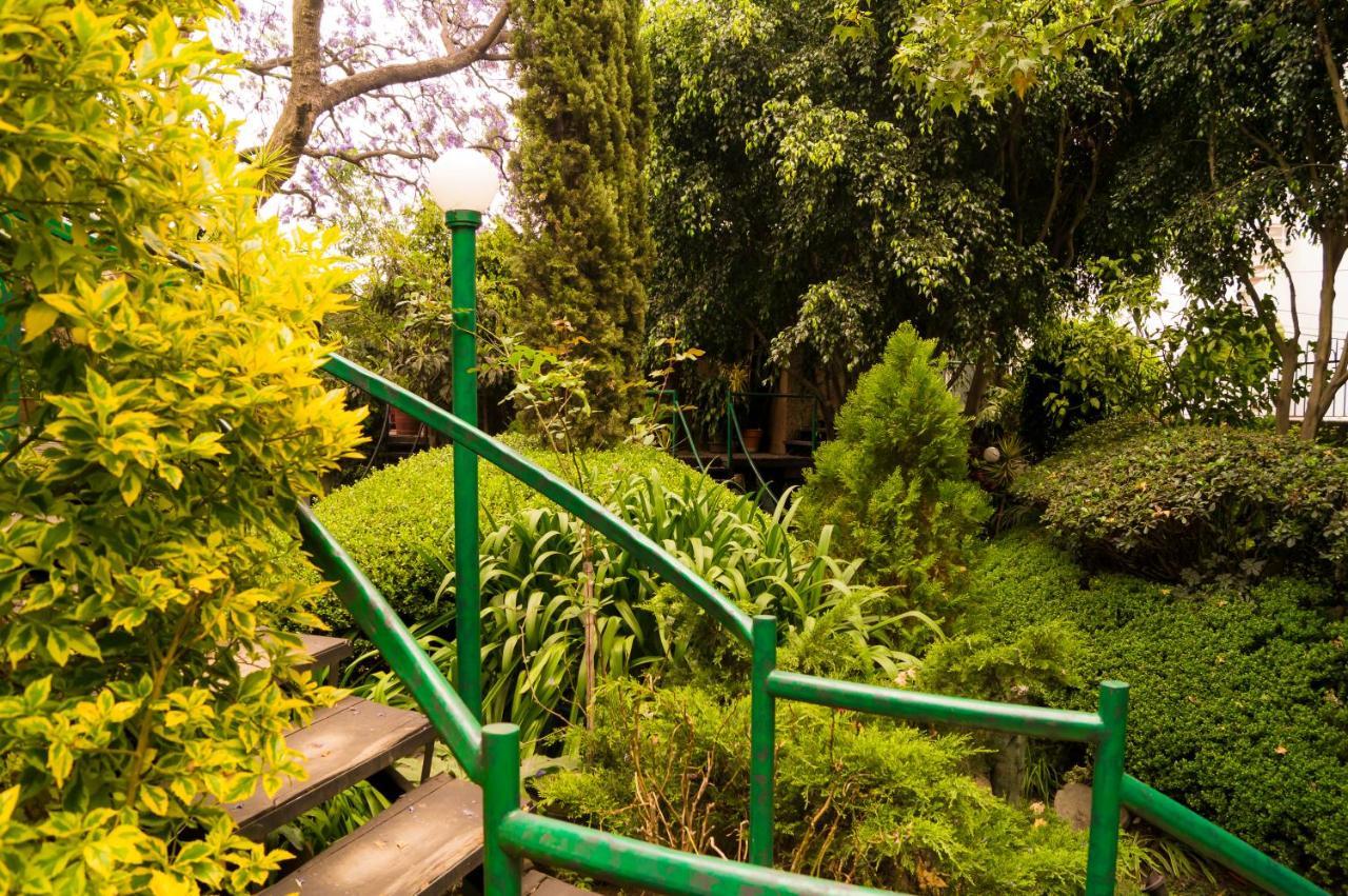 Suite 1-A Monasterio Garden House Welcome To San Angel Мехико Экстерьер фото