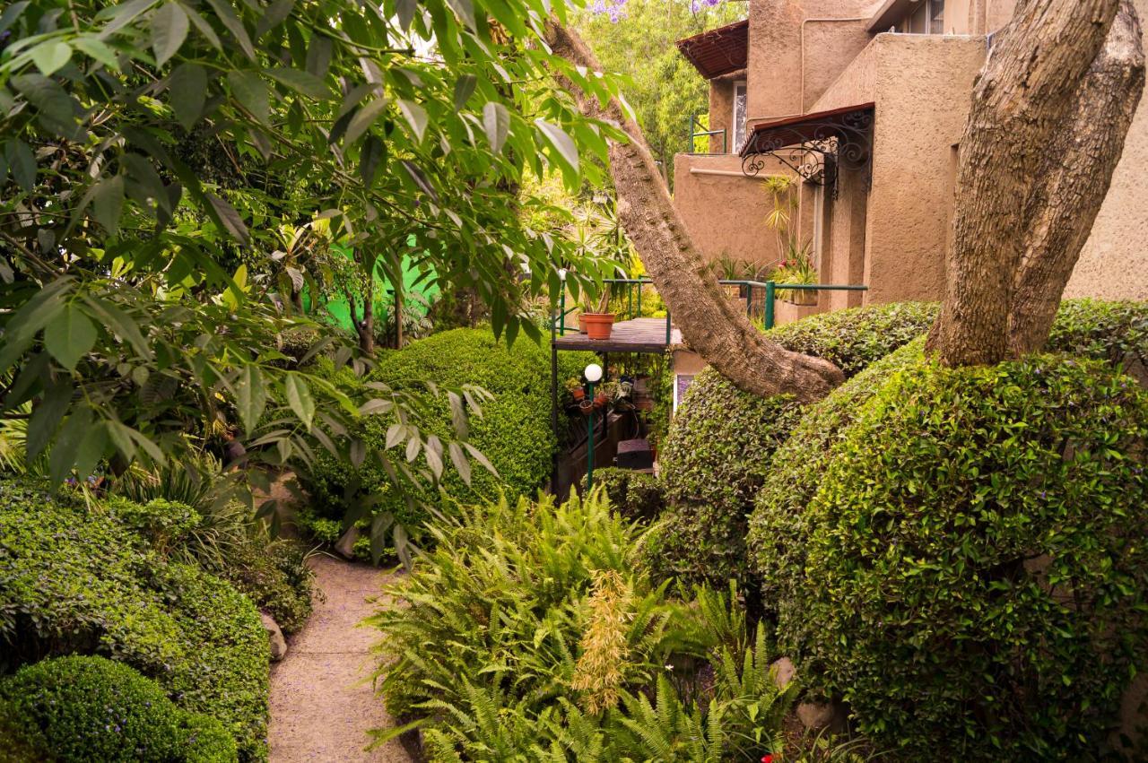 Suite 1-A Monasterio Garden House Welcome To San Angel Мехико Экстерьер фото