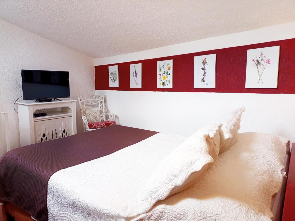Suite 1-A Monasterio Garden House Welcome To San Angel Мехико Экстерьер фото