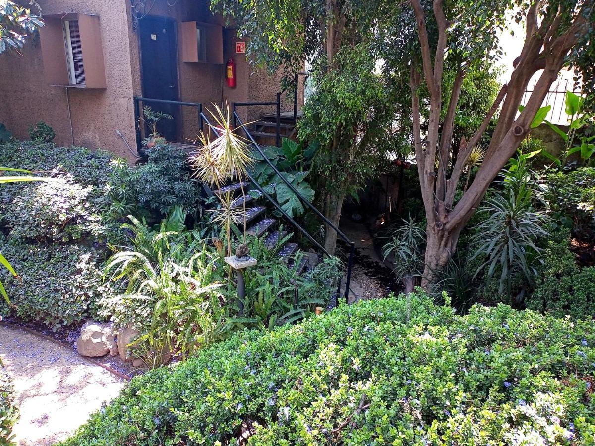 Suite 1-A Monasterio Garden House Welcome To San Angel Мехико Экстерьер фото