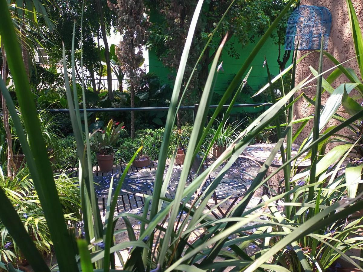 Suite 1-A Monasterio Garden House Welcome To San Angel Мехико Экстерьер фото