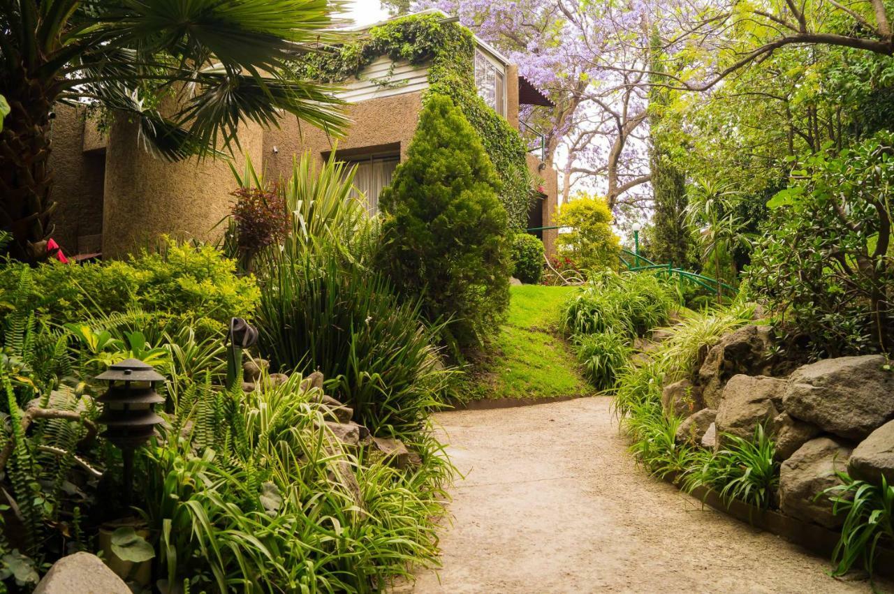 Suite 1-A Monasterio Garden House Welcome To San Angel Мехико Экстерьер фото